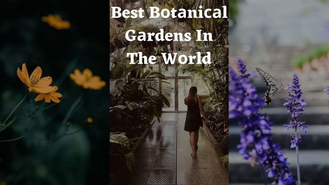 best botnical garden in the world
