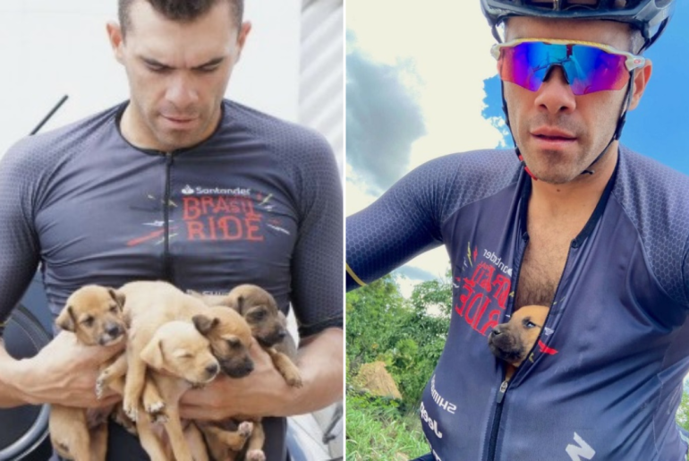 A Bicyclist Finds Puppies Buried In A Hole And Rescues Them With His Shirt.