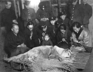 Hachiko: The True Story of a Loyal Dog That Waited at Train Station for Deceased Owner