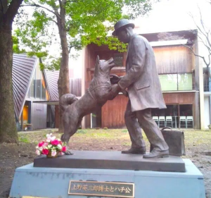 Hachiko: The True Story of a Loyal Dog That Waited at Train Station for Deceased Owner
